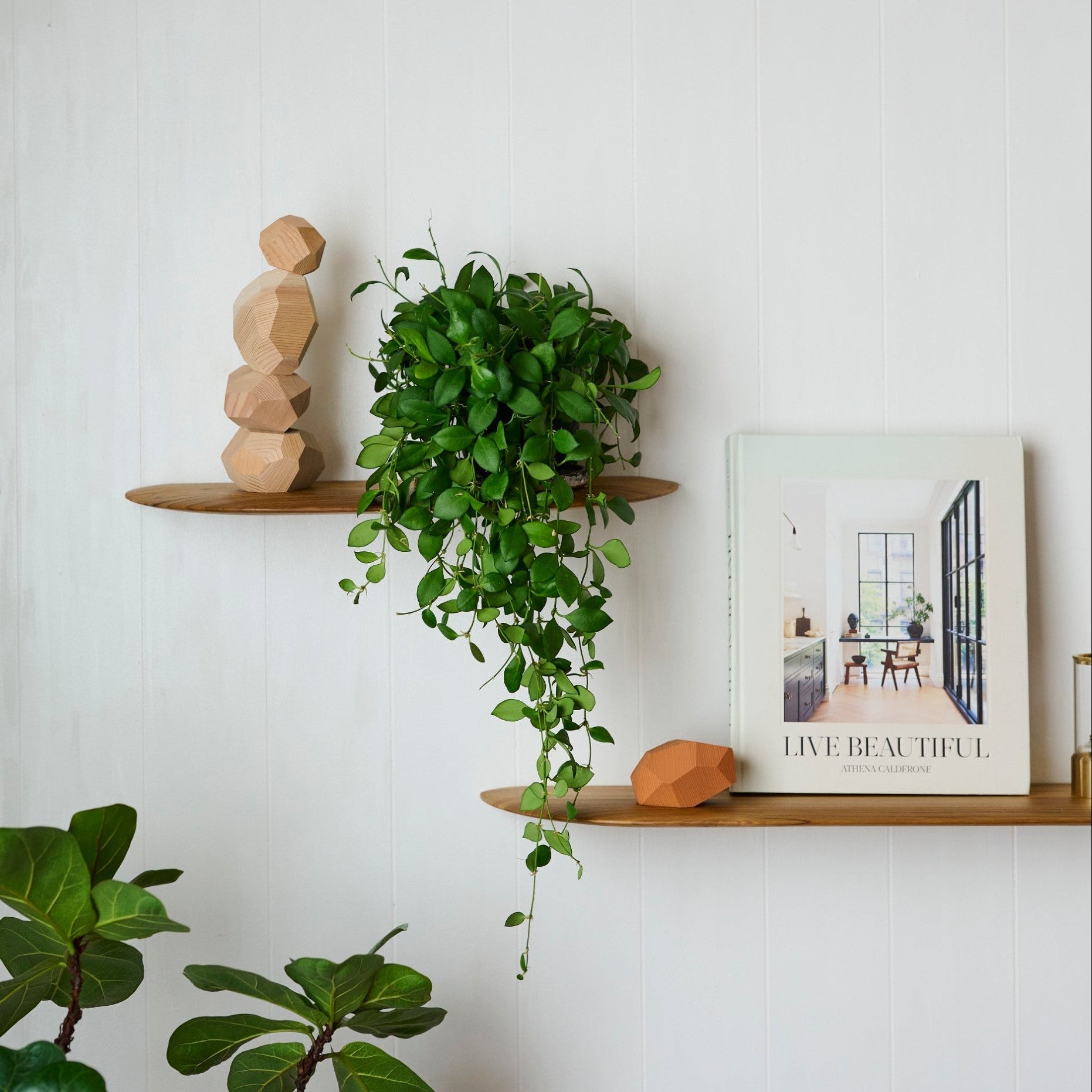 棚受け一体型ウォールシェルフ | Teak Smooth shelf – tiflo