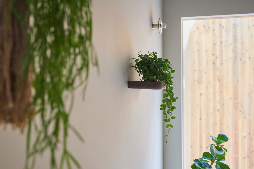 2月27日 tiflo gallery オープン｜ご来店プレゼントキャンペーン