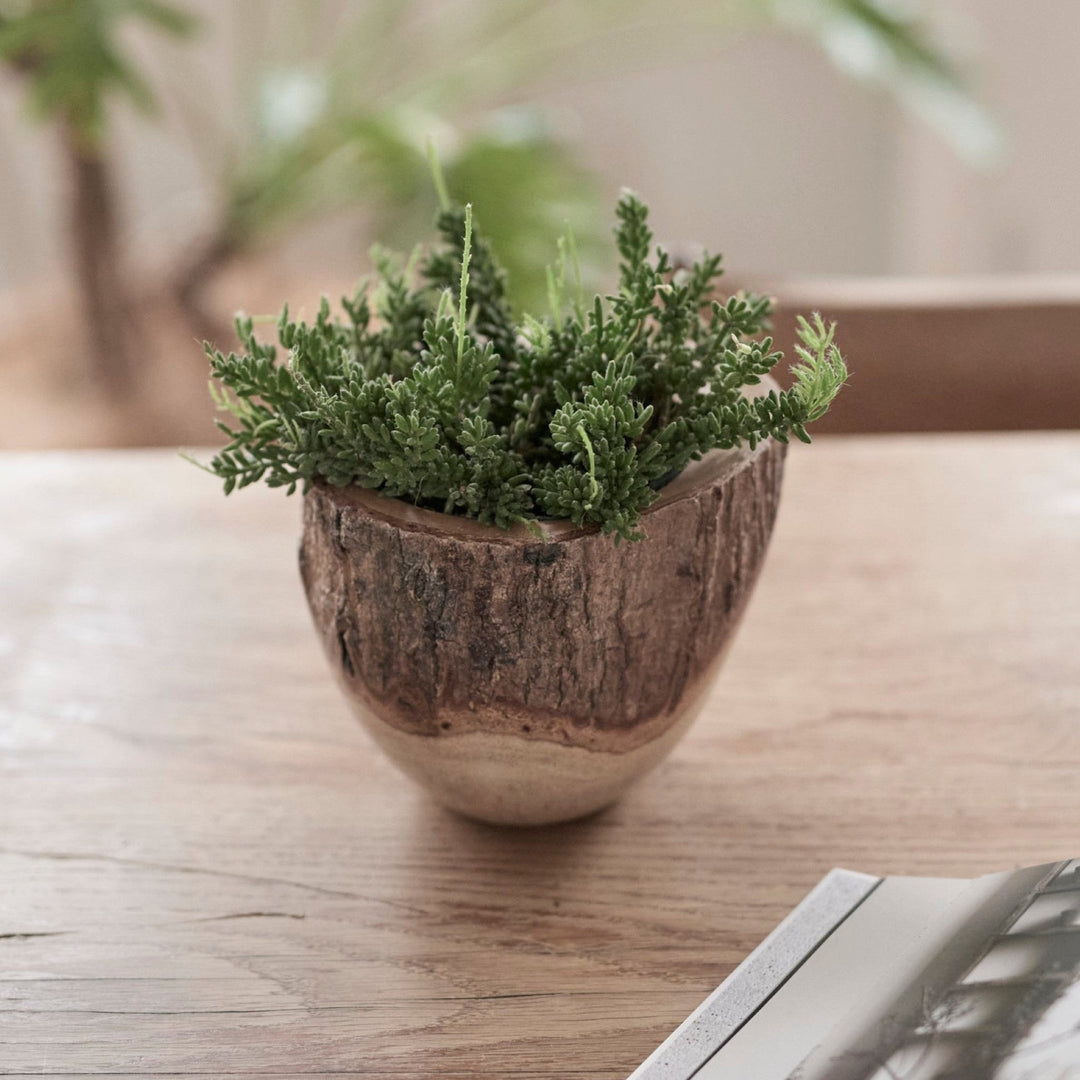 グリーンポット特集｜ナチュラル＆クラフト編