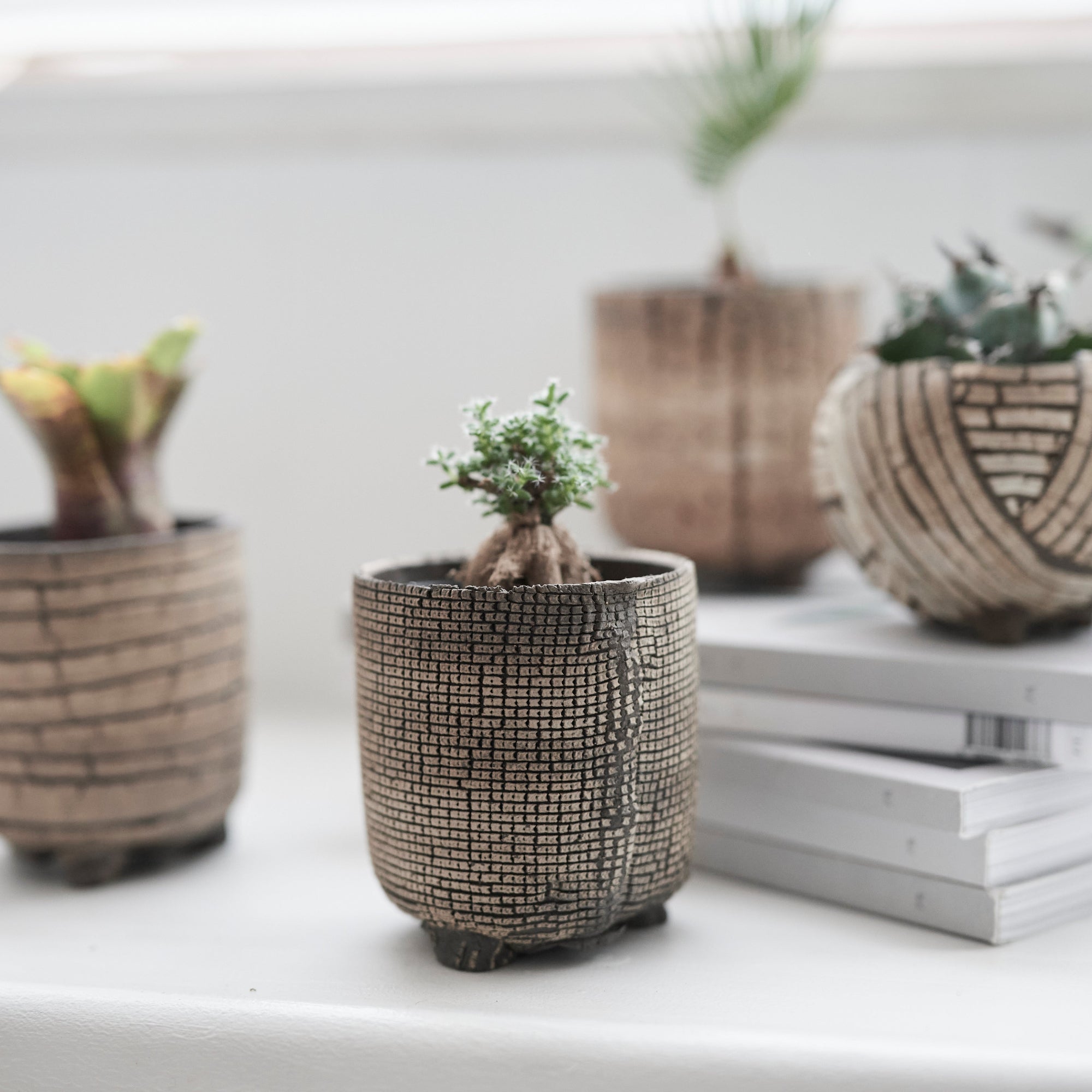 ガーデン・グリーン