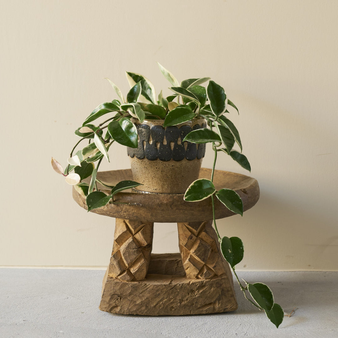 椀型の天板に小さな植物を置く台座としても活躍します。
