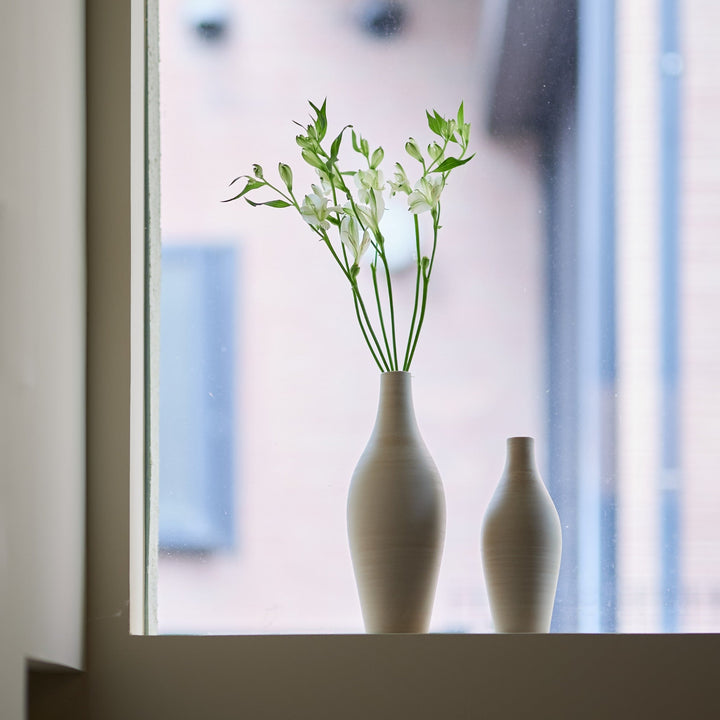 日々の中で見つけた植物をそのまま受け止めてくれます。