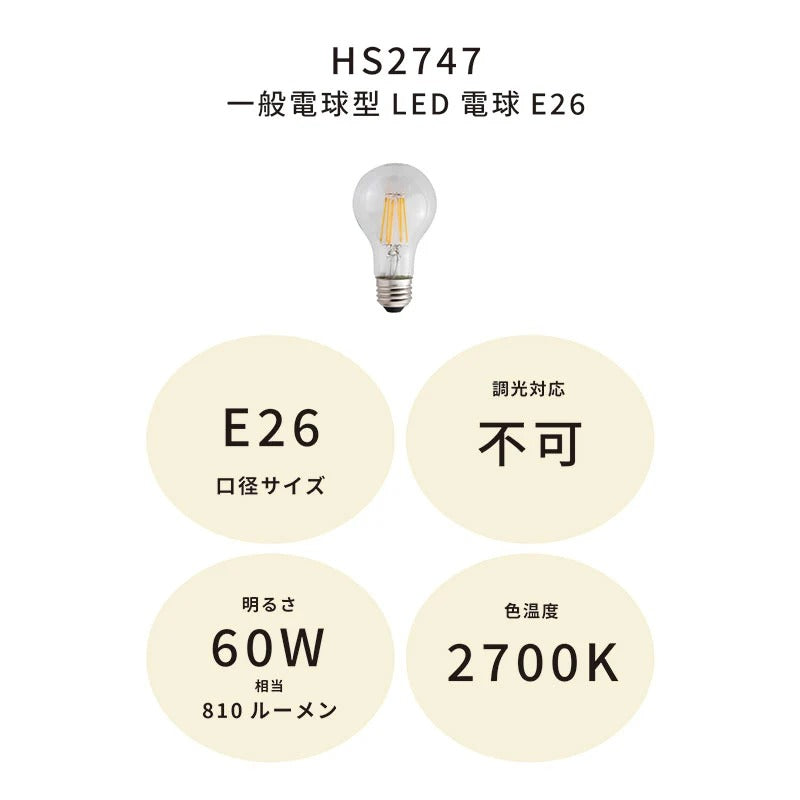 【オプション】電球 | Polished Light Brass 対応