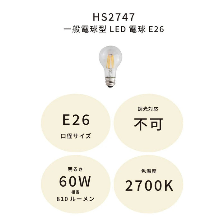 【オプション】電球 | Polished Light Brass 対応