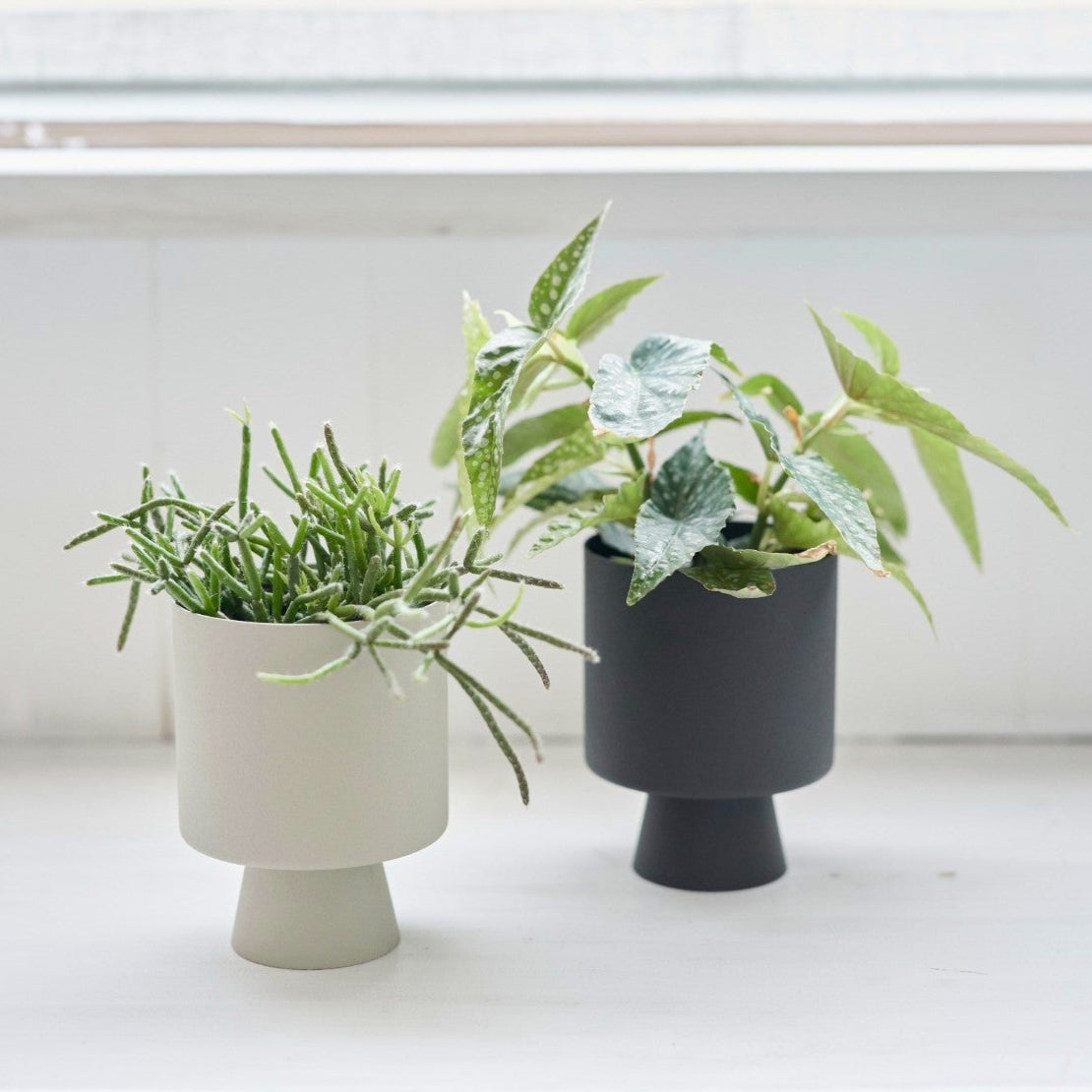 鉢カバー | Linnea Pot – tiflo