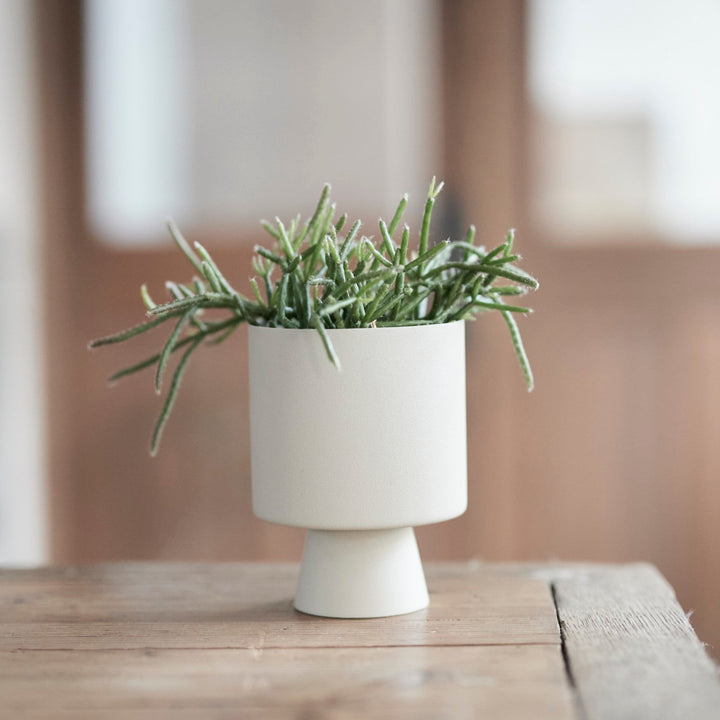 Linnea Pot