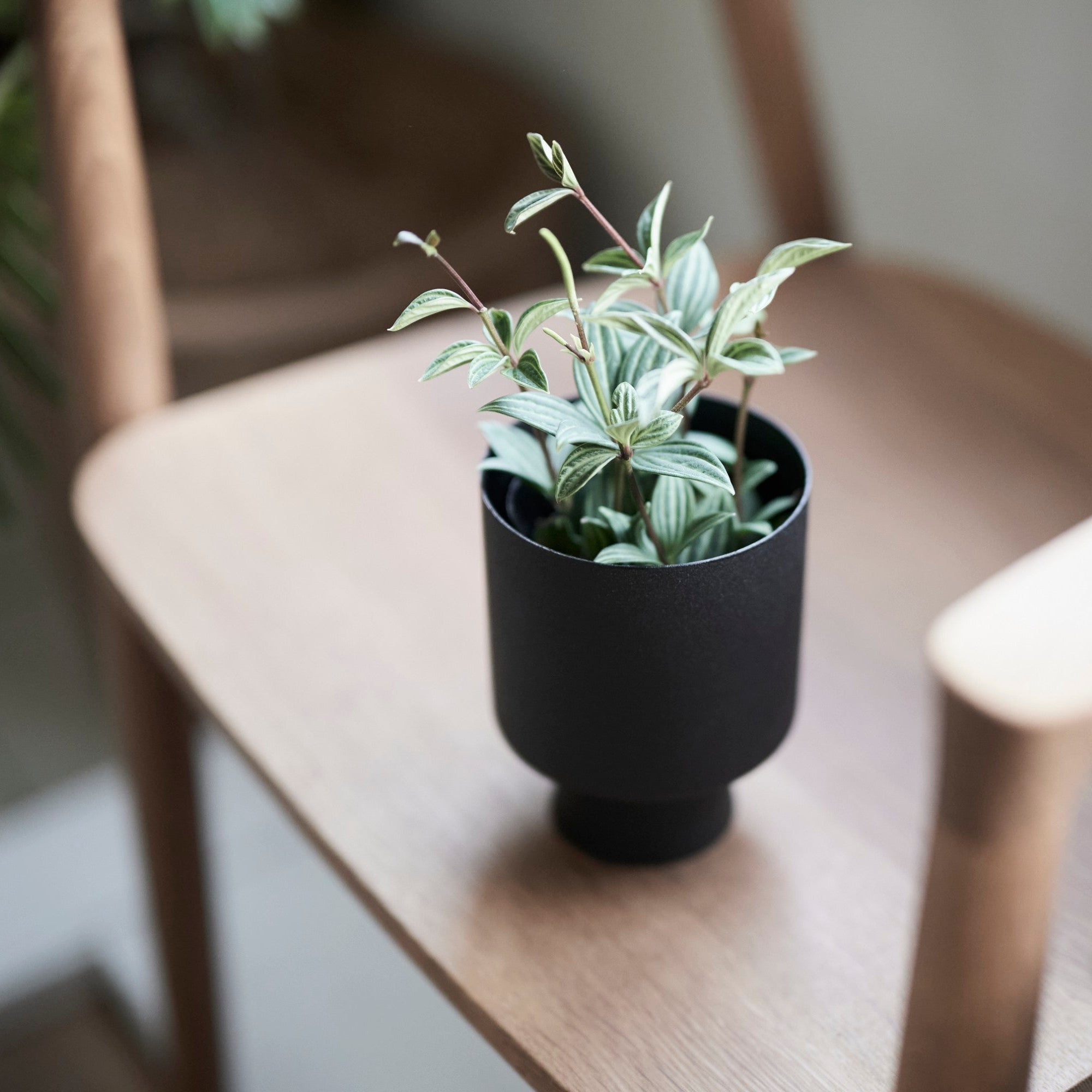 鉢カバー | Linnea Pot – tiflo