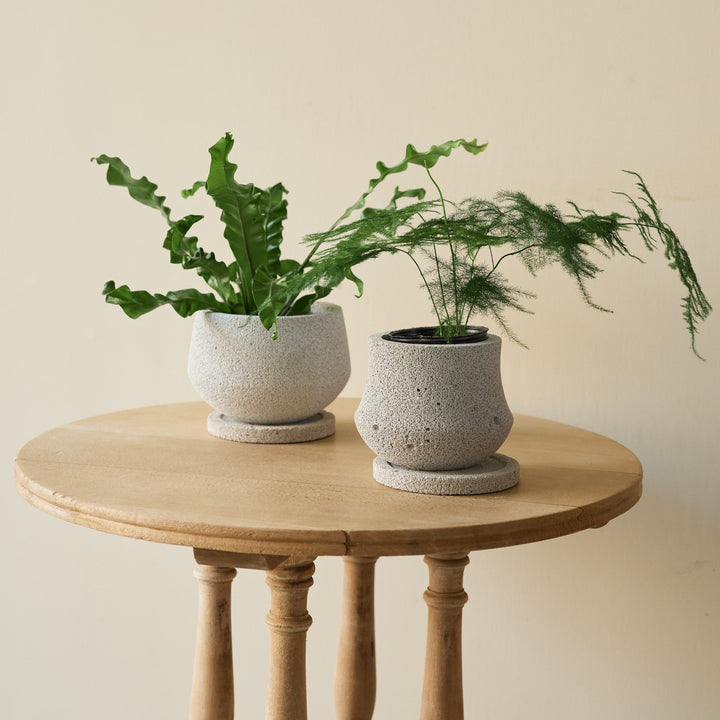植木鉢 | Air Cement Pot