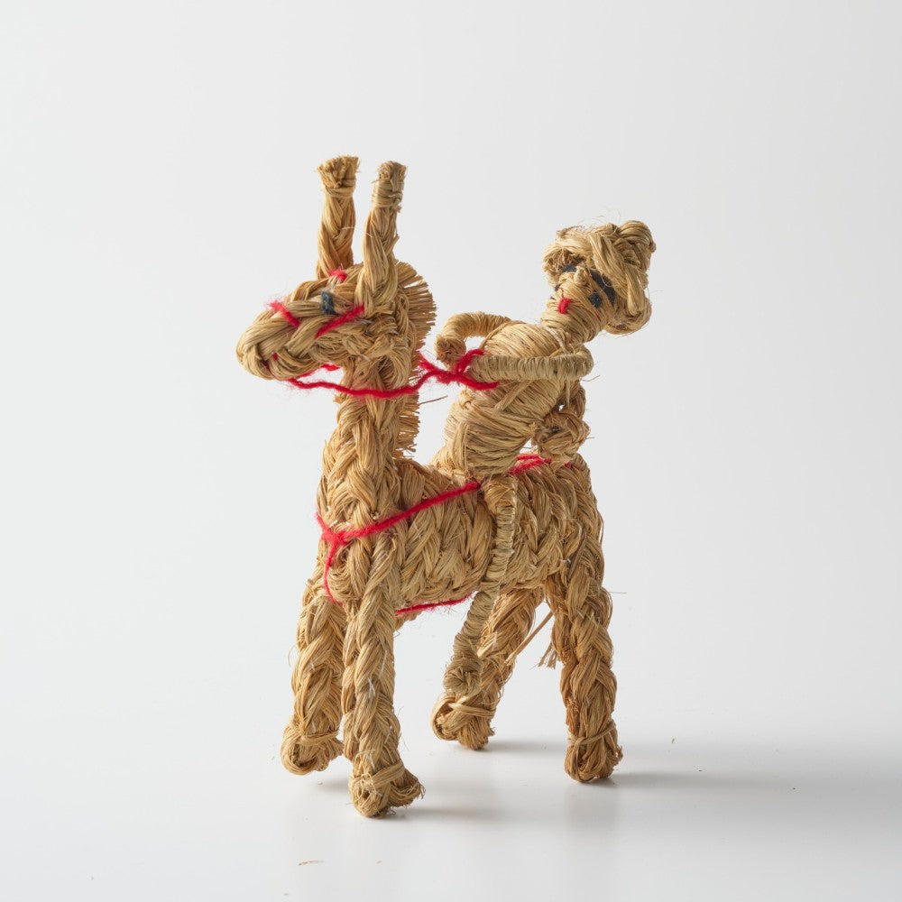 ④　SANCHOO ESPARTO CON BURRO