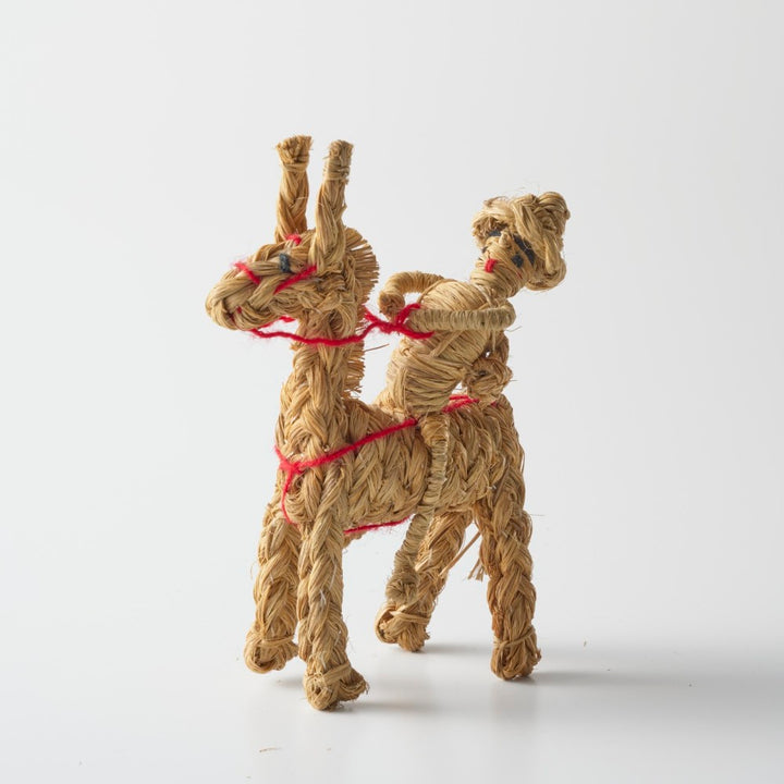 ④　SANCHOO ESPARTO CON BURRO