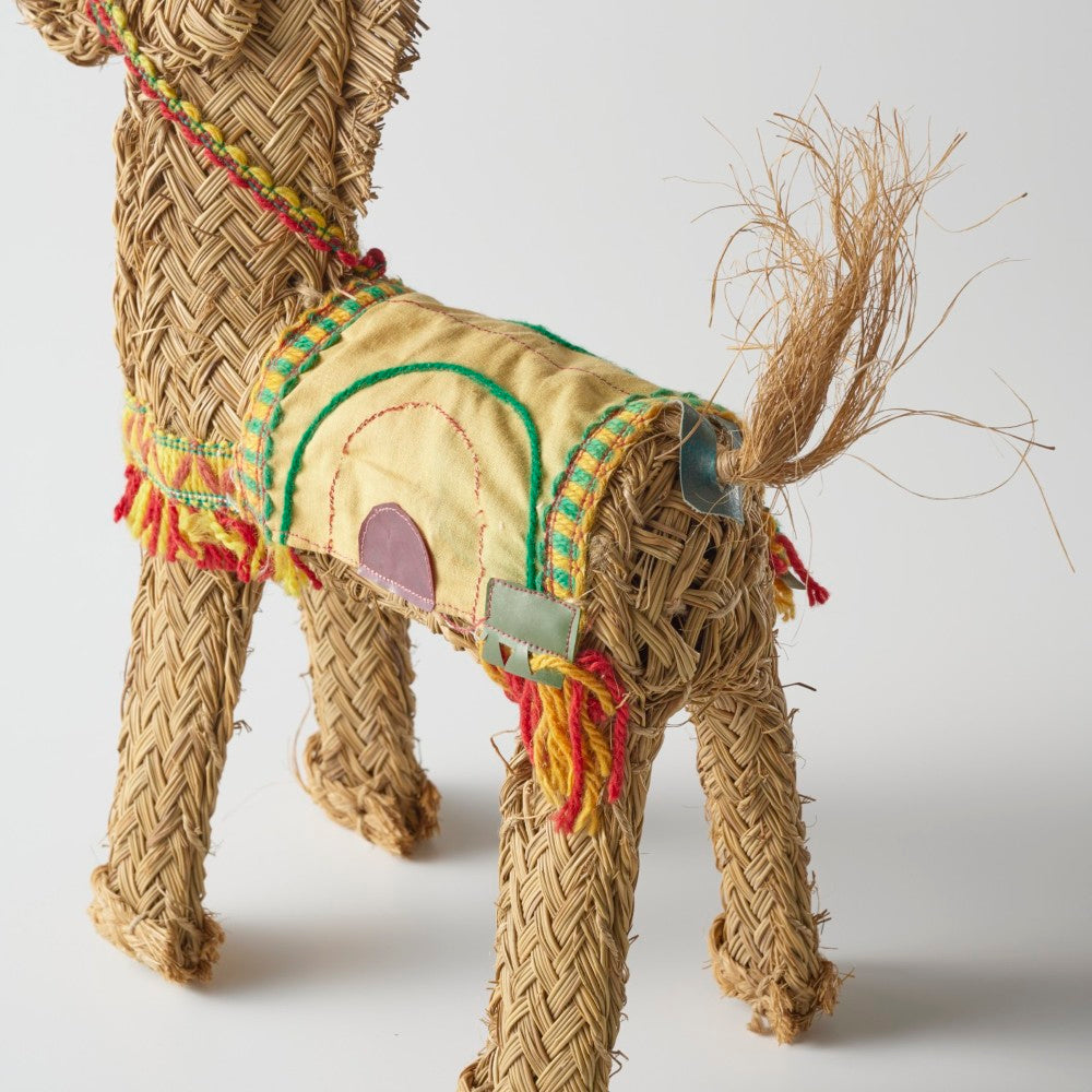 服のカラーはアソートのため、お選びいただけません。