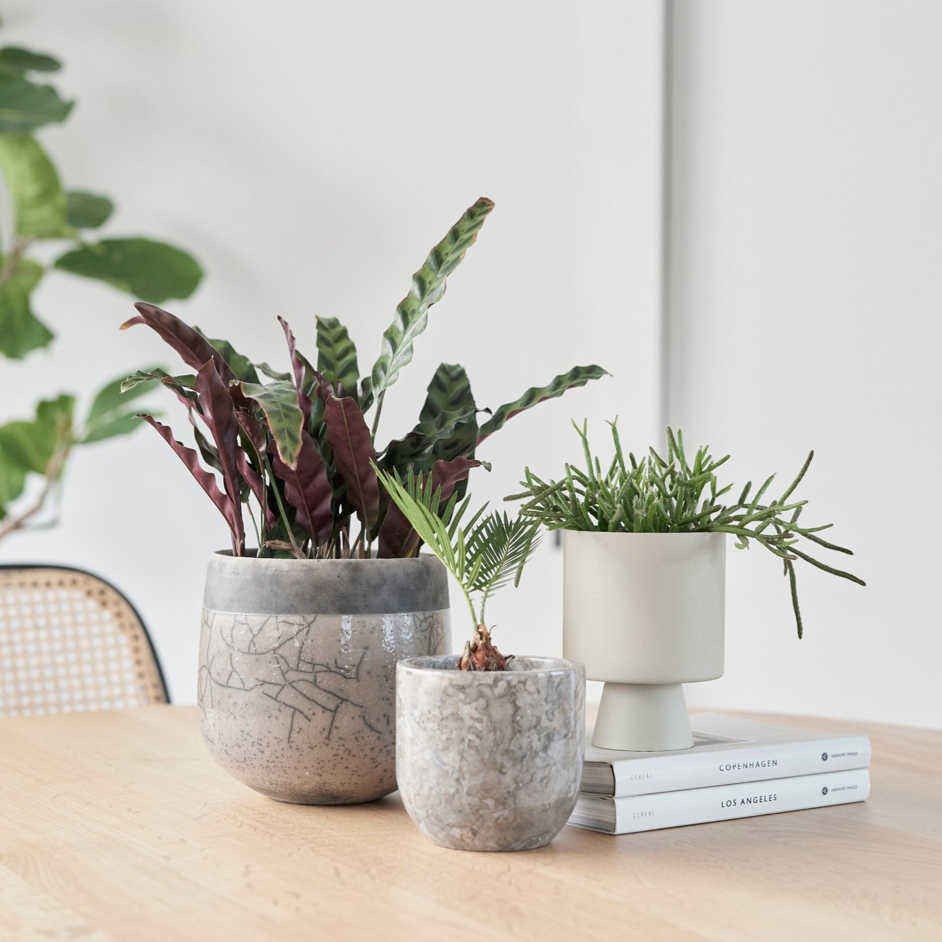 DOMANI MINSK ベース　スモーキークォーツ a8f15844c18f9943d9a863bac2c5ec