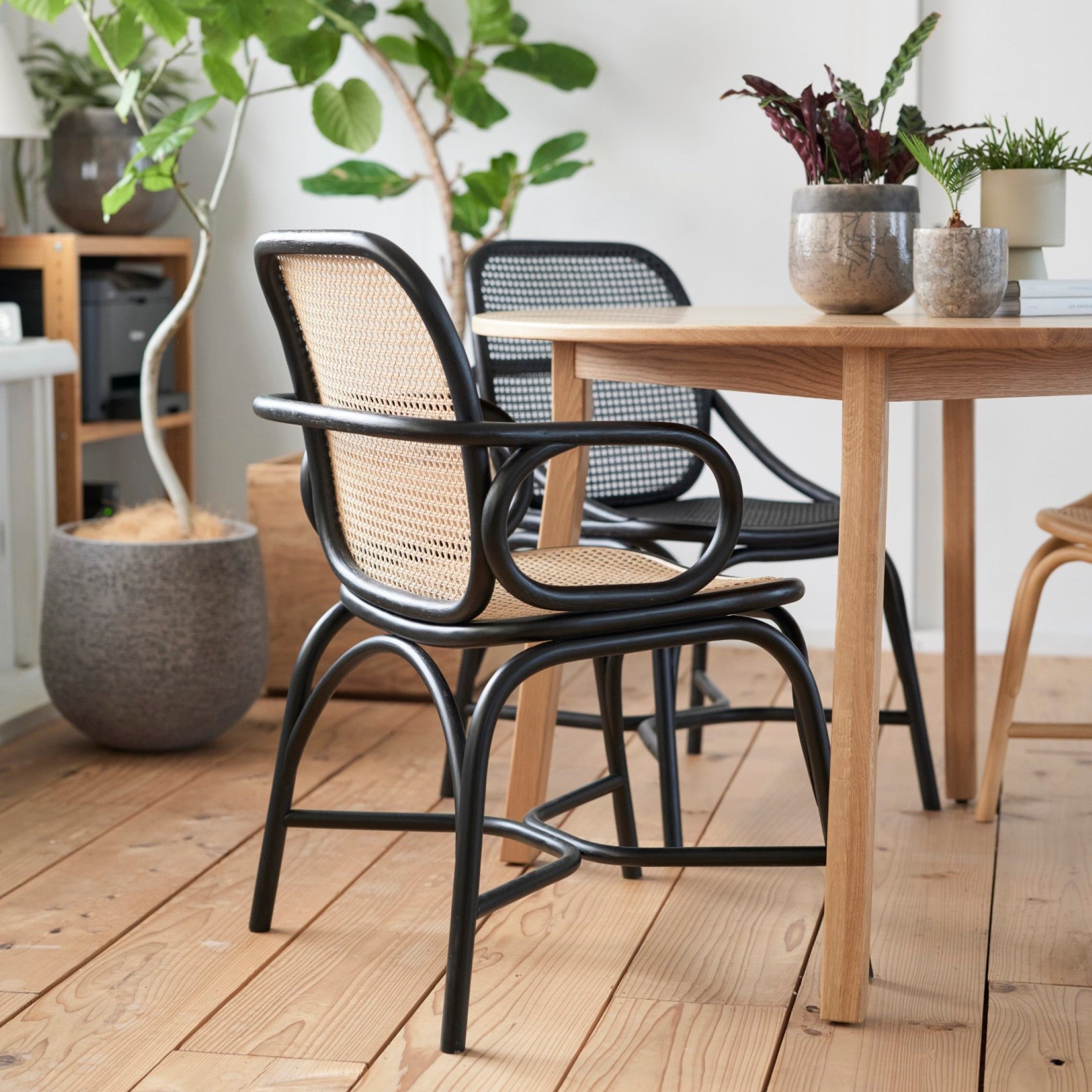 Marcel ラタンアームチェア – tiflo