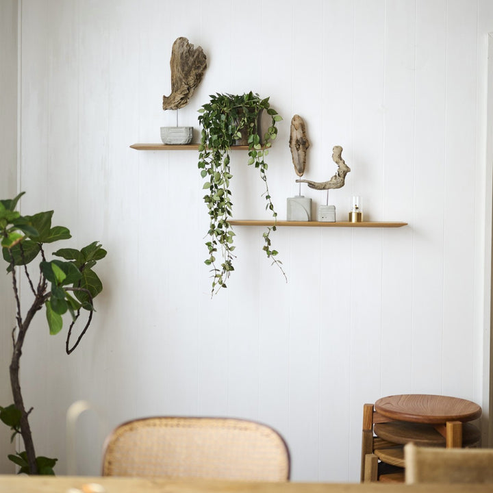 いくつかの作品を並べて飾ってみると、世界観が一際です。