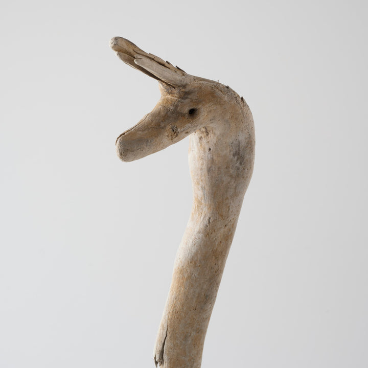 耳を立てたリャマの横顔。