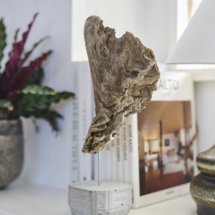 「どの角度で眺めても美しく見える」プロポーションに仕上げられています。