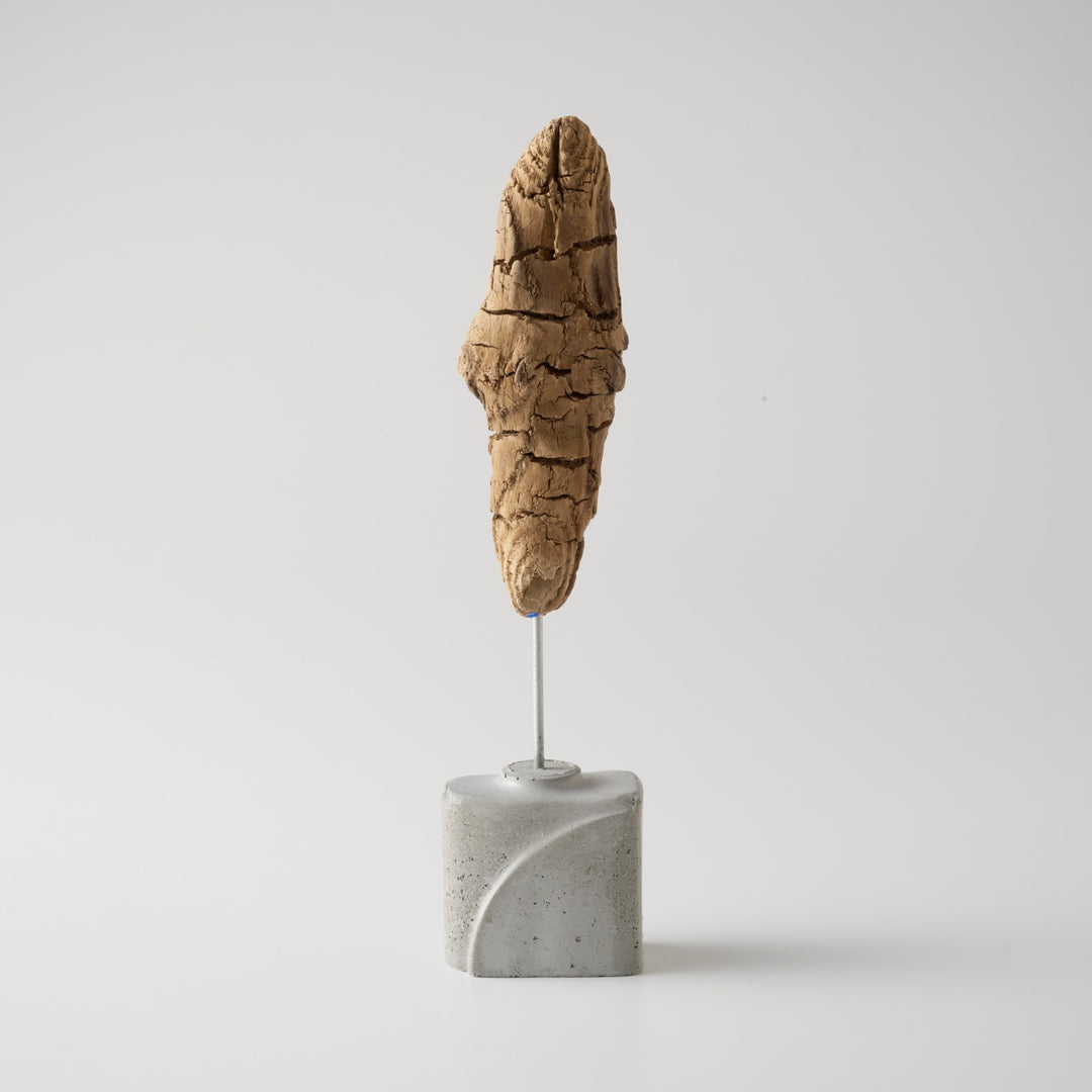 土台は、海岸に漂着したプラスチック容器を使い切りの型にして作られたセメントベース。