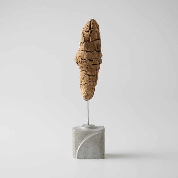 土台は、海岸に漂着したプラスチック容器を使い切りの型にして作られたセメントベース。