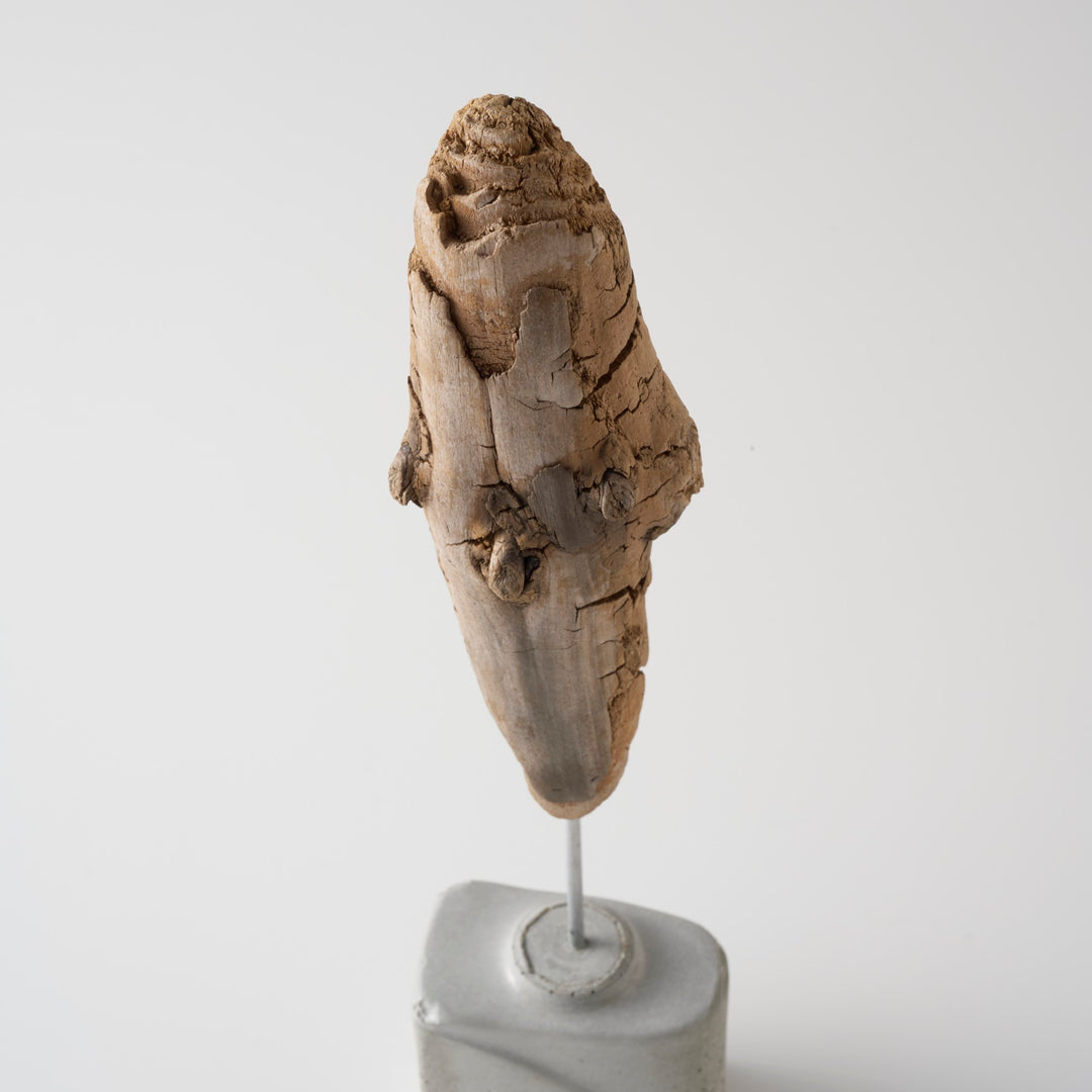 どことなく人の姿を連想させるフォルム。愛らしさも感じる佇まいです。