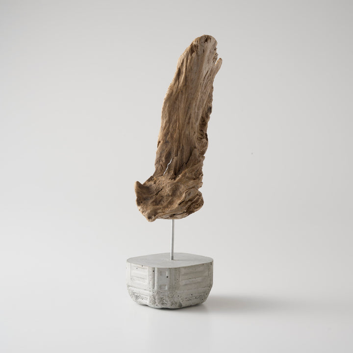 土台は、海岸に漂着したプラスチック容器を使い切りの型にして作られたセメントベース。