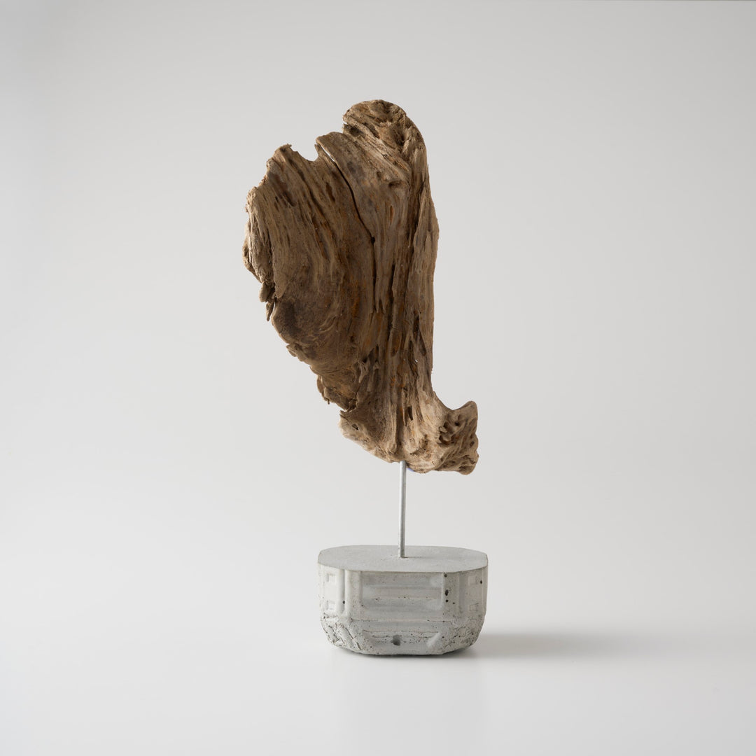 違った角度になるとまた印象が変わるのも魅力のひとつ。