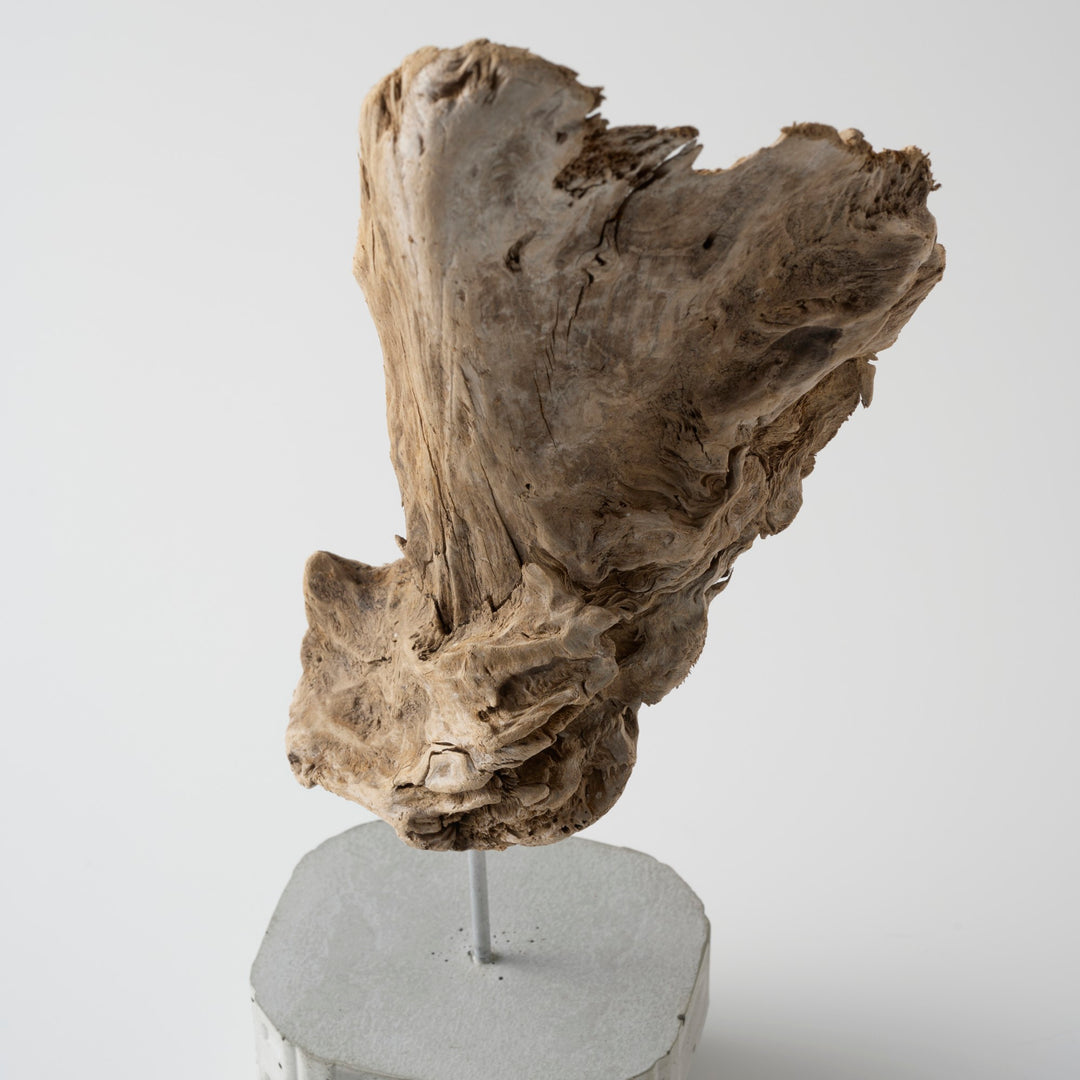 素材の豊かなテクスチャーが、照明や日光に応じて微妙に表情を変えていきます。