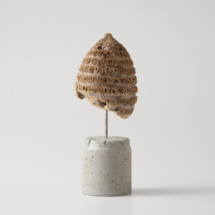 土台は、海岸に漂着したプラスチック容器を使い切りの型にして作られたセメントベース。