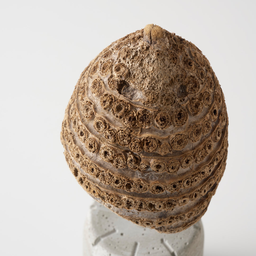 モスク建築の特徴である大きなドーム。そう思うとなんだか神聖さも感じませんか。