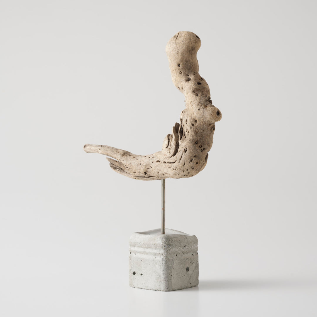 土台は、海岸に漂着したプラスチック容器を使い切りの型にして作られたセメントベース。