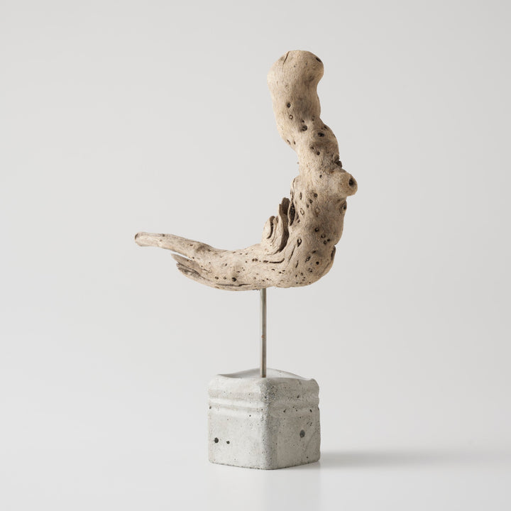 土台は、海岸に漂着したプラスチック容器を使い切りの型にして作られたセメントベース。