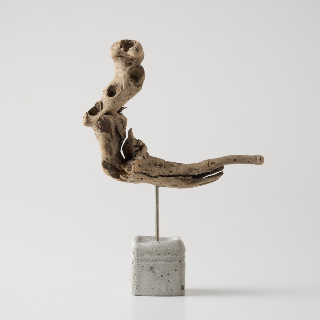 違った角度になるとまた印象が変わるのも魅力のひとつ。