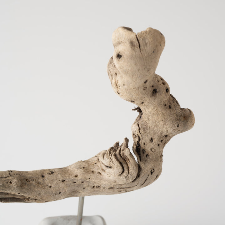 細部の模様、凹凸や質感まで独特な作品です。