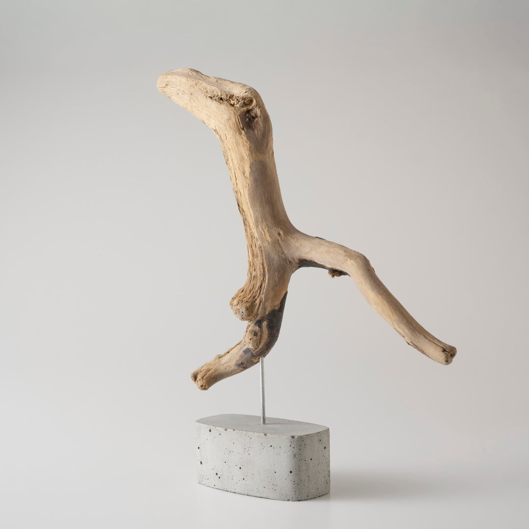 違った角度になるとまた印象が変わるのも魅力のひとつ。