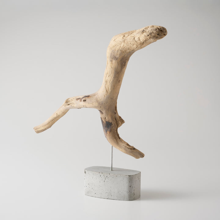 土台は、海岸に漂着したプラスチック容器を使い切りの型にして作られたセメントベース。