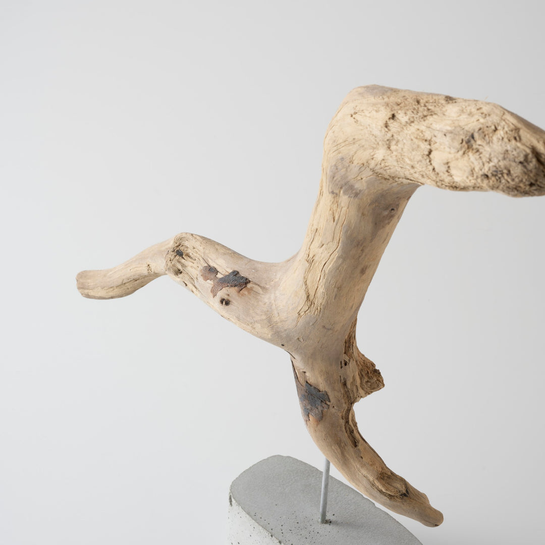 有機的に広がるフォルムは、空間の中で視線を自然に誘導します。