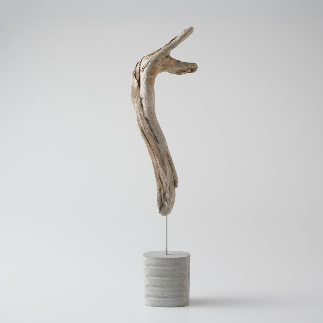 違った角度になるとまた印象が変わるのも魅力のひとつ。