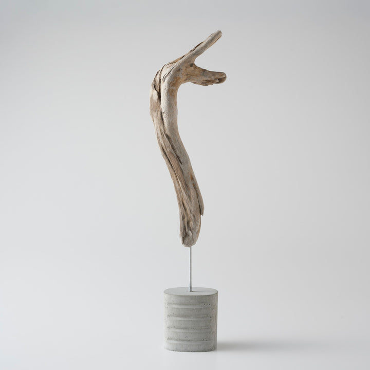 違った角度になるとまた印象が変わるのも魅力のひとつ。