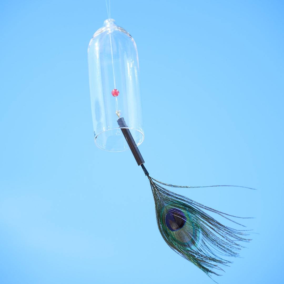 羽根がわずかな風を受け、ガラスが鳴る。光の中でゆっくりと揺れる姿も美しい。