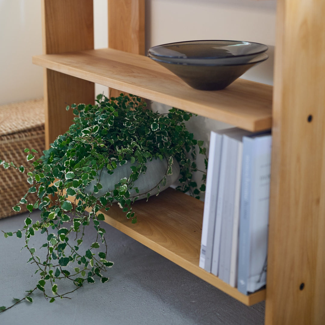 細かな葉の植物と相性抜群です。