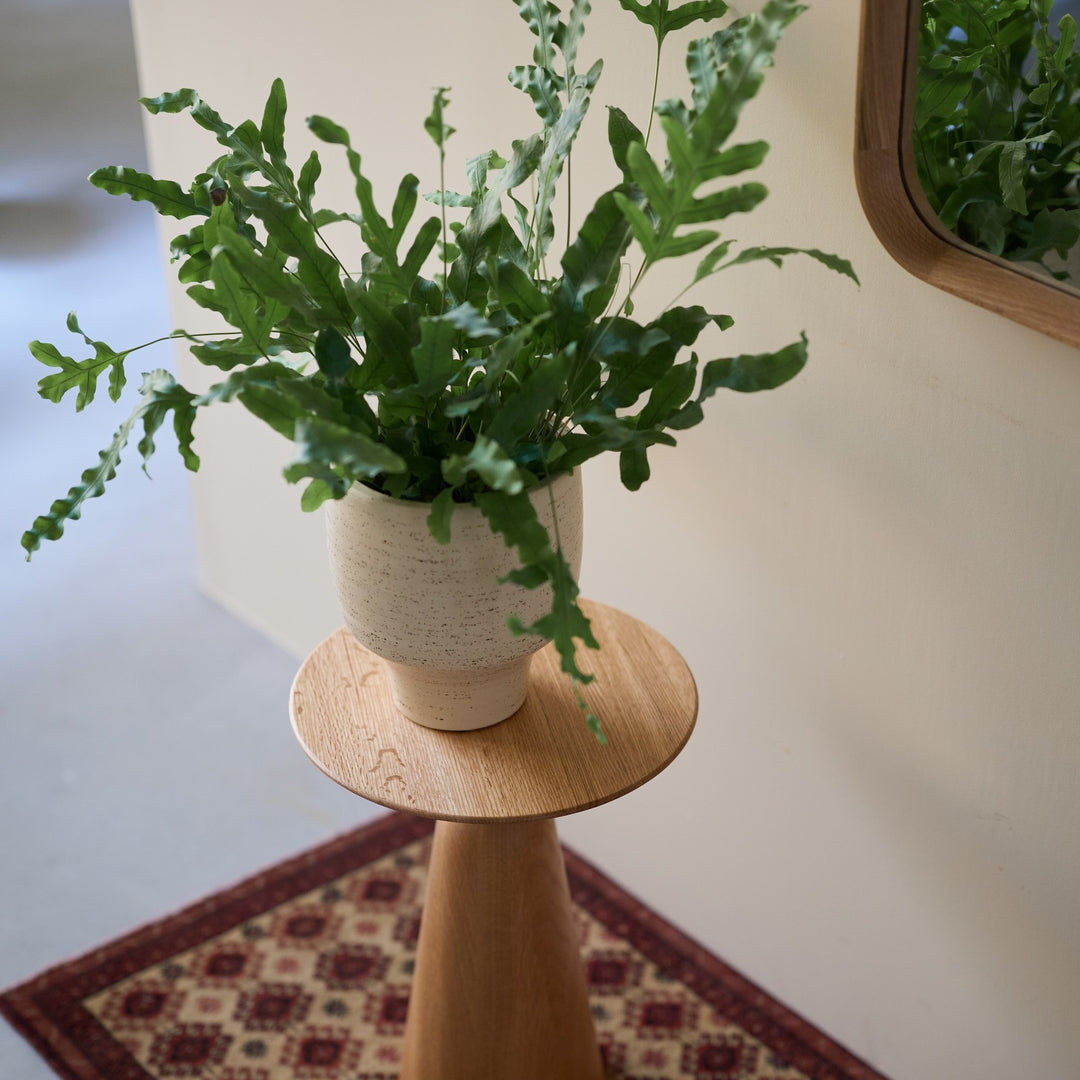 鉢植えをそのまま入れるだけで、表情が変わります。
