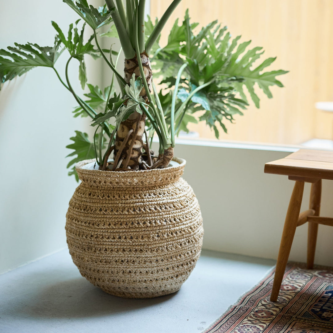 鉢カバー | Raffia Basket | Round