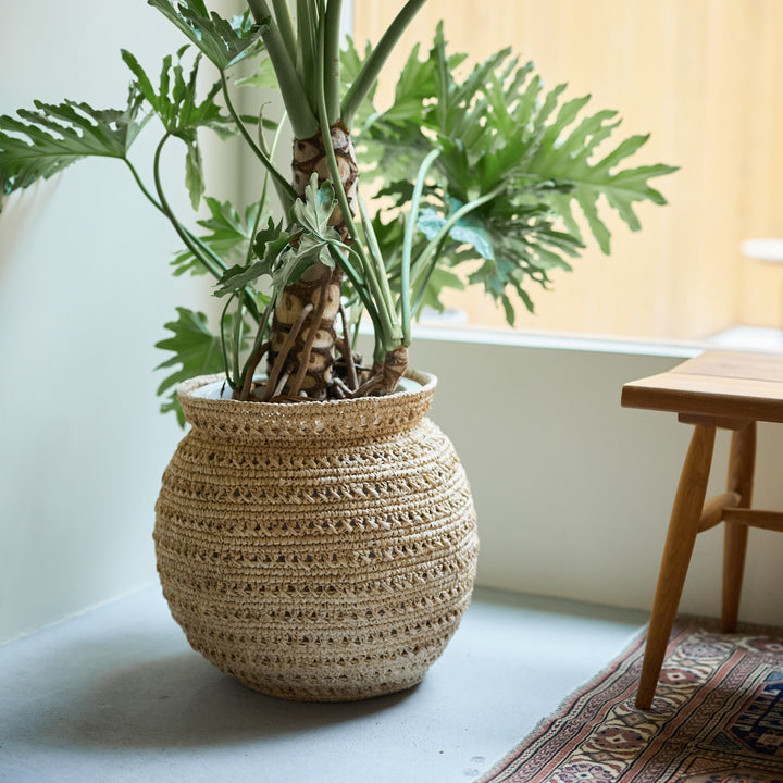 鉢カバー | Raffia Basket | Round