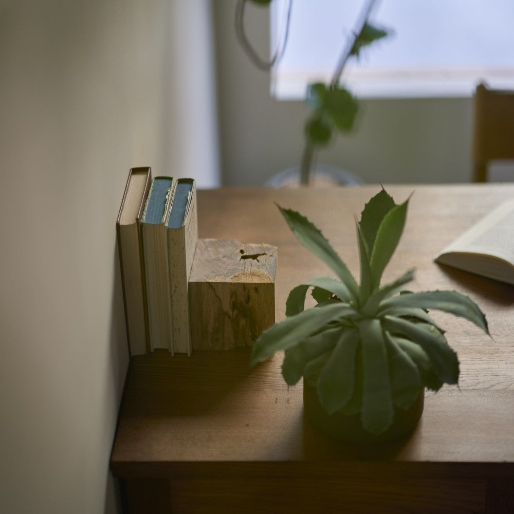 虫喰い楢は面ごとに表情が違います。
好きな面を前にするだけで、雰囲気も大きく変わります。
