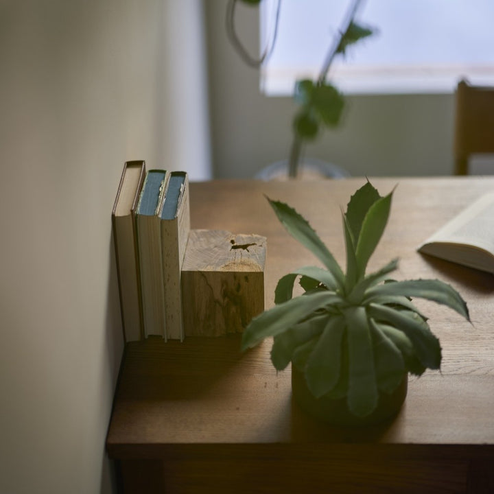 虫喰い楢は面ごとに表情が違います。
好きな面を前にするだけで、雰囲気も大きく変わります。