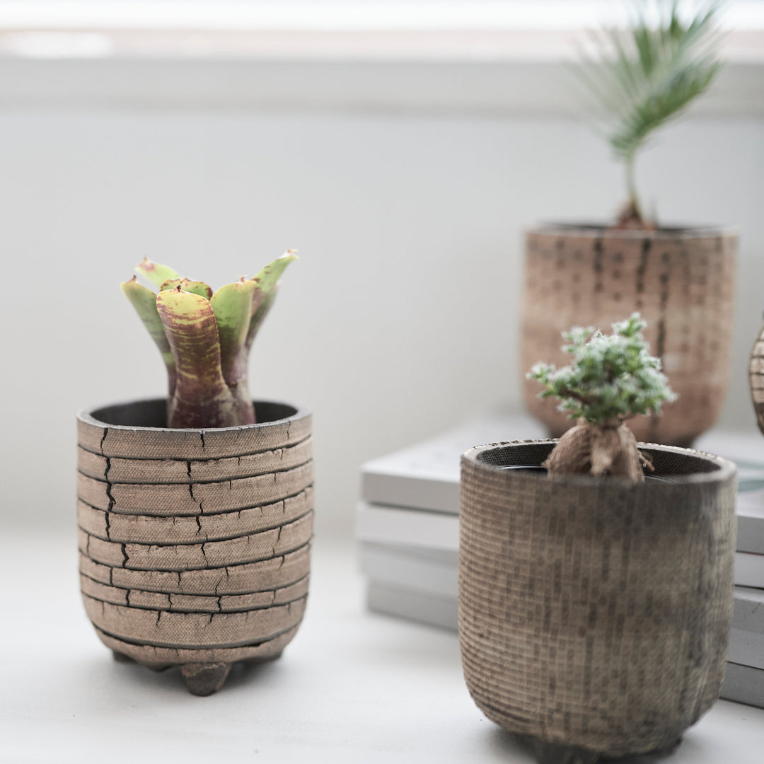 信楽焼 植木鉢