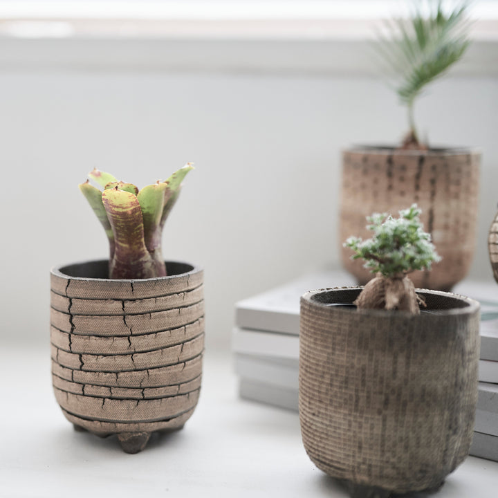 信楽焼 植木鉢