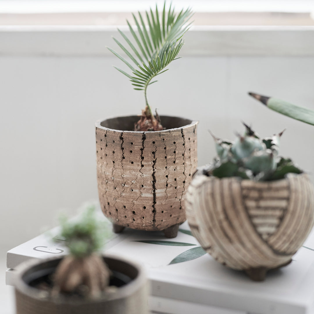 信楽焼 植木鉢