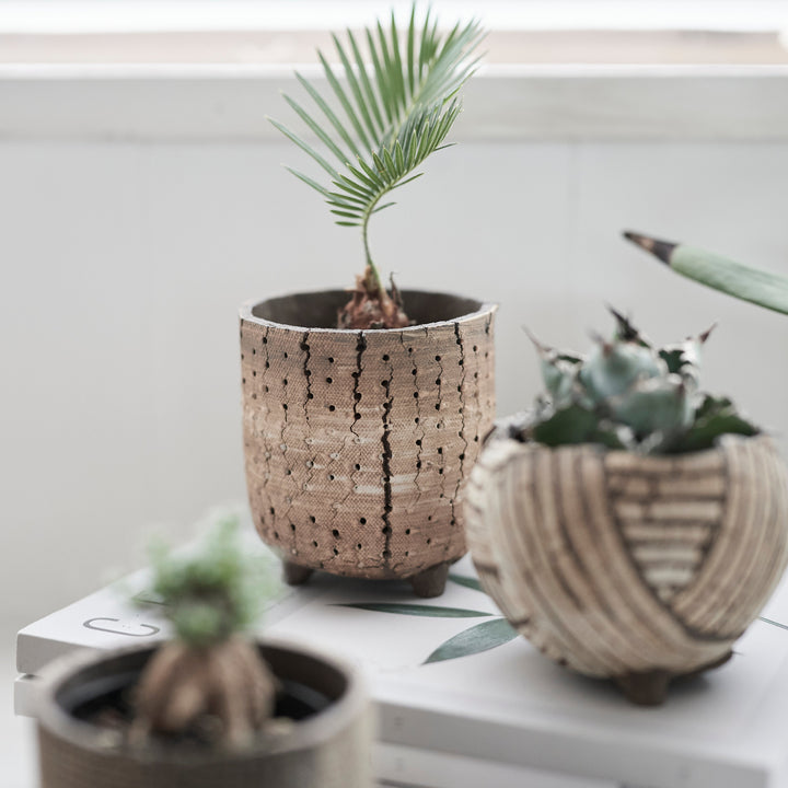 信楽焼 植木鉢