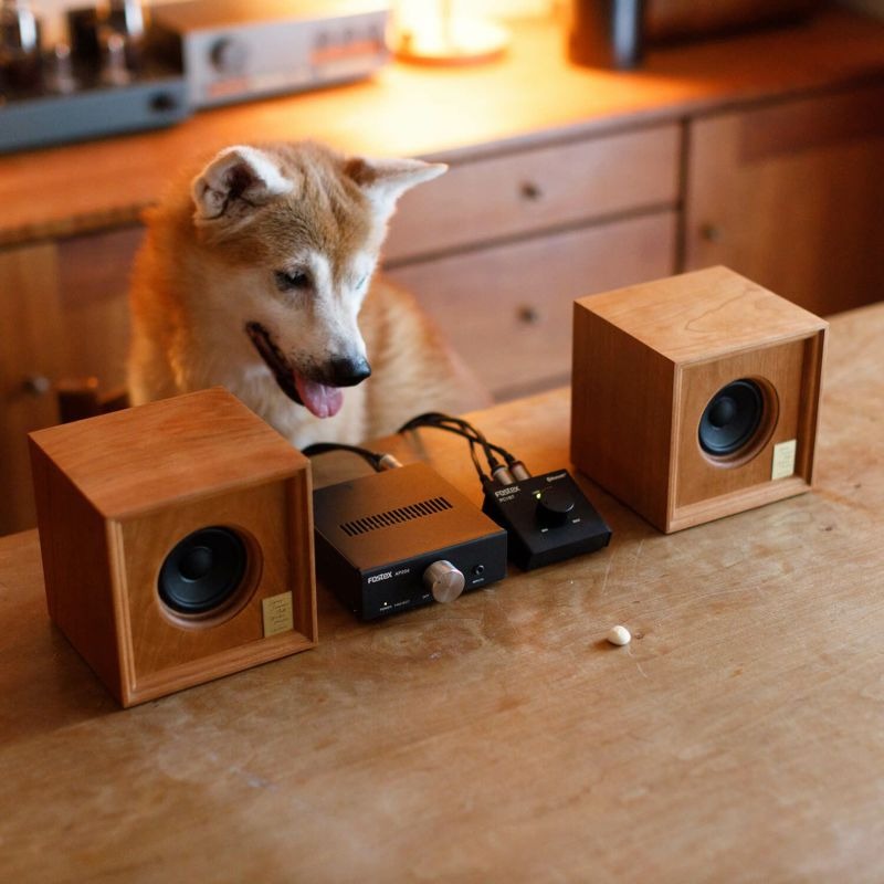 カラー：チェリー