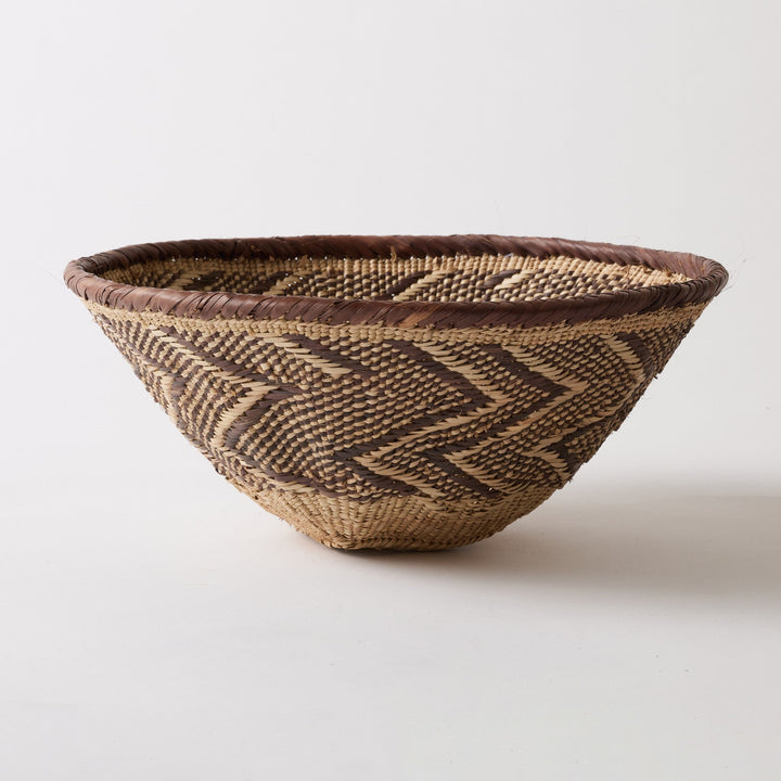 Type D：約 直径31cm × 高さ 13.5cm